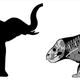 Comparison of Lisowicia bojani to a modern elephant.